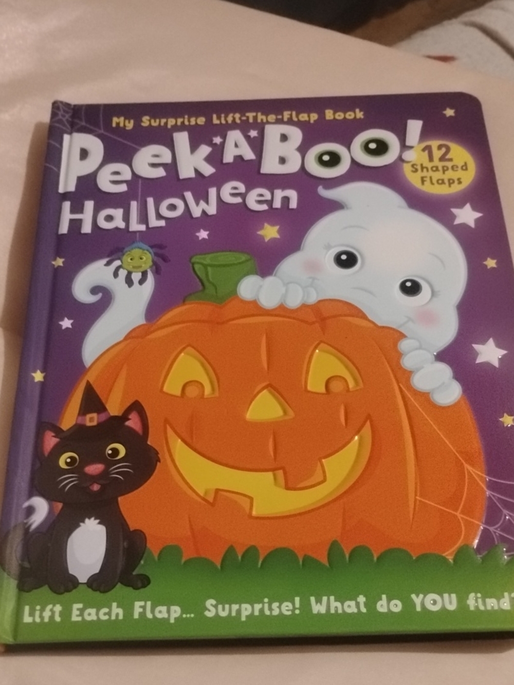 Halloween Lift-the-Flap Kids Costume Book - Purple